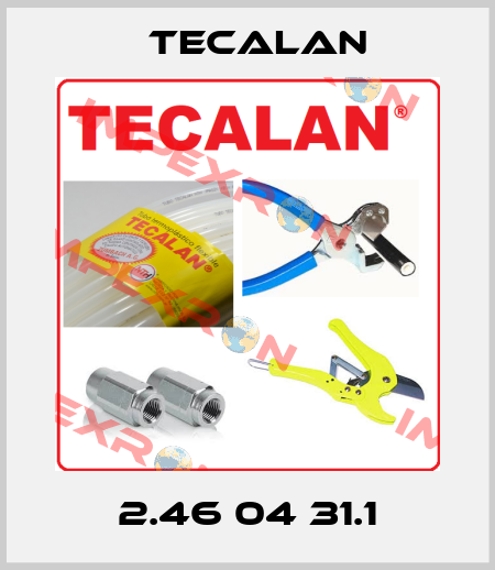2.46 04 31.1 Tecalan