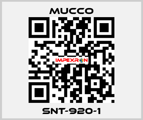 SNT-920-1 mucco