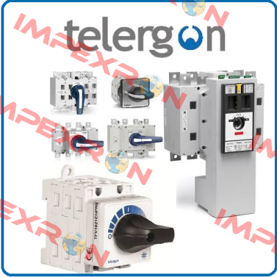 TP-001616969  Telergon