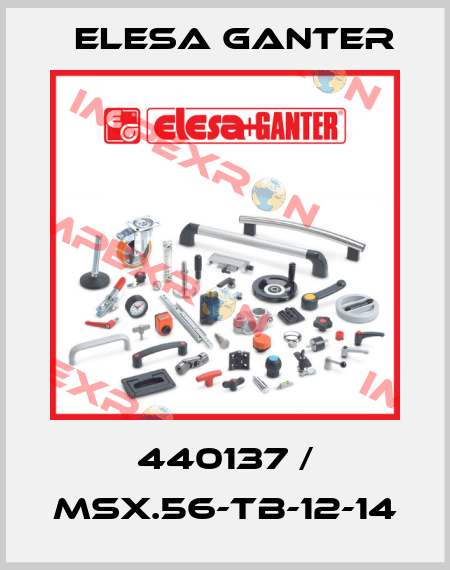 440137 / MSX.56-TB-12-14 Elesa Ganter