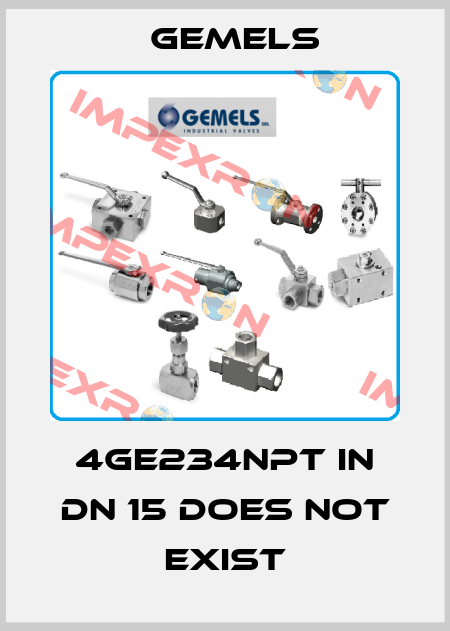 4GE234NPT in DN 15 does not exist Gemels