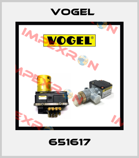 651617 Vogel