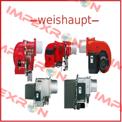 W-ZG02/110V 100VA Weishaupt