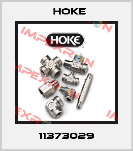 11373029 Hoke