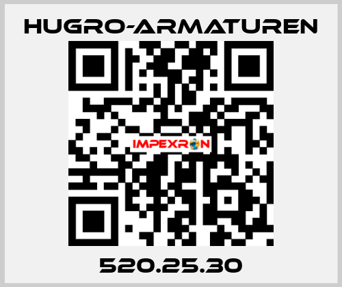 520.25.30 Hugro-Armaturen