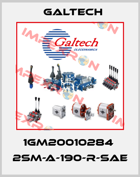 1GM20010284  2SM-A-190-R-SAE Galtech