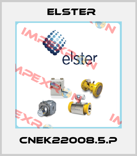 CNEK22008.5.P Elster
