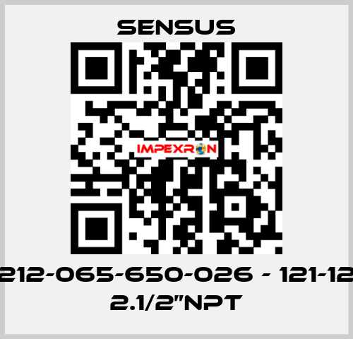 212-065-650-026 - 121-12 2.1/2”NPT Sensus