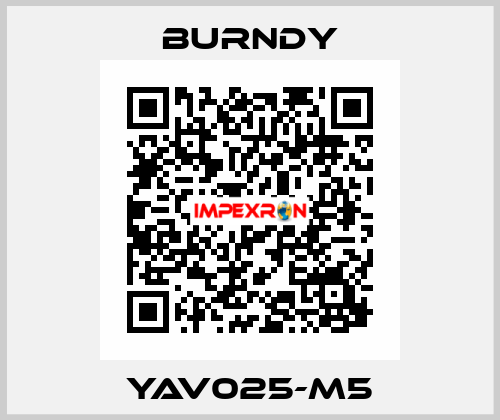YAV025-M5 Burndy