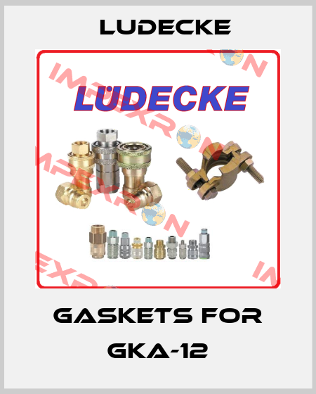 gaskets for GKA-12 Ludecke