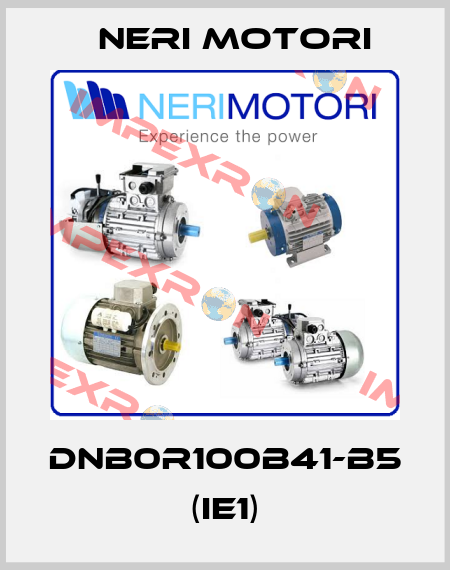 DNB0R100B41-B5    (IE1) Neri Motori