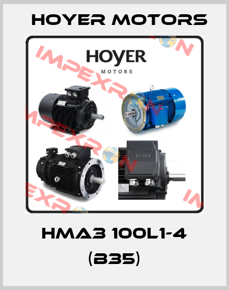 HMA3 100L1-4 (B35) Hoyer Motors