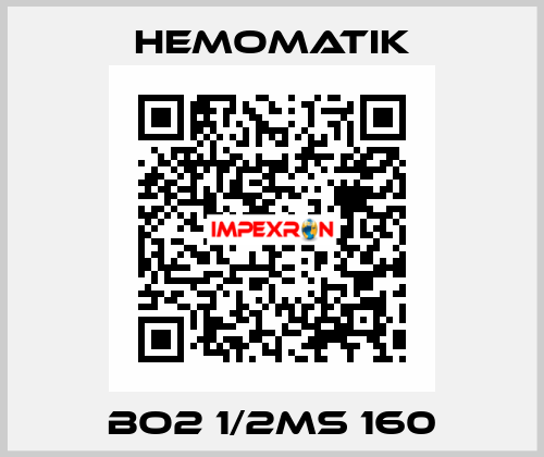 BO2 1/2MS 160 Hemomatik