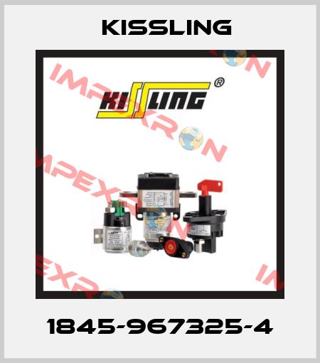 1845-967325-4 Kissling