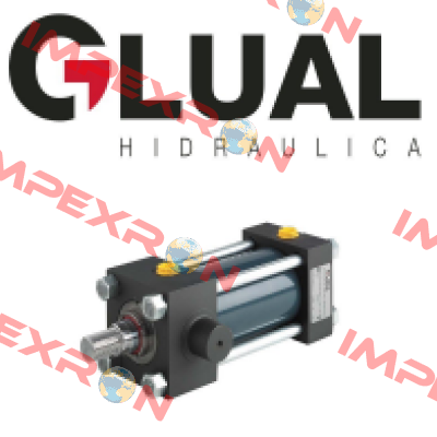 FCE005688 Glual Hydraulics