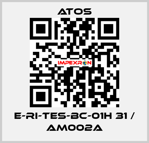 E-RI-TES-BC-01H 31 / AM002A Atos