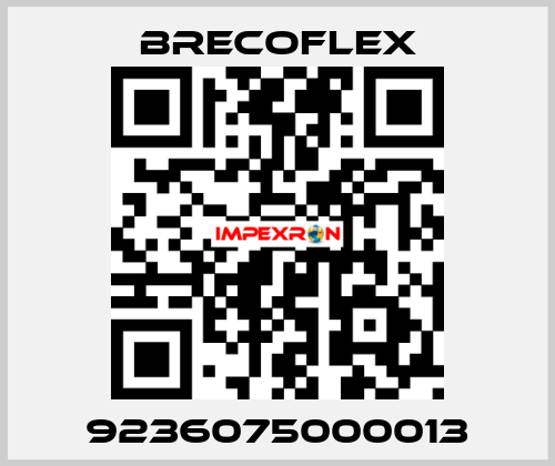 9236075000013 Brecoflex