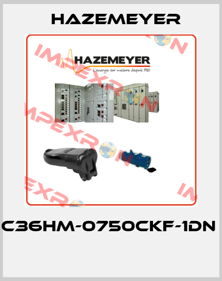 C36HM-0750CKF-1DN   Hazemeyer