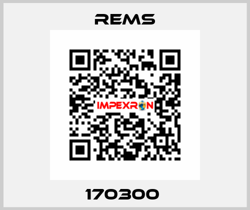 170300  Rems