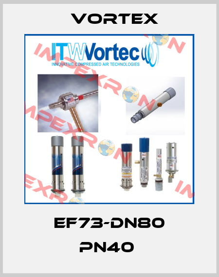 EF73-DN80 PN40  Vortex