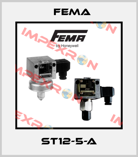 ST12-5-A FEMA