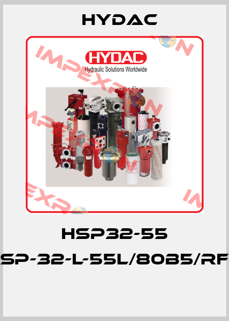 HSP32-55 HSP-32-L-55L/80B5/RF2  Hydac