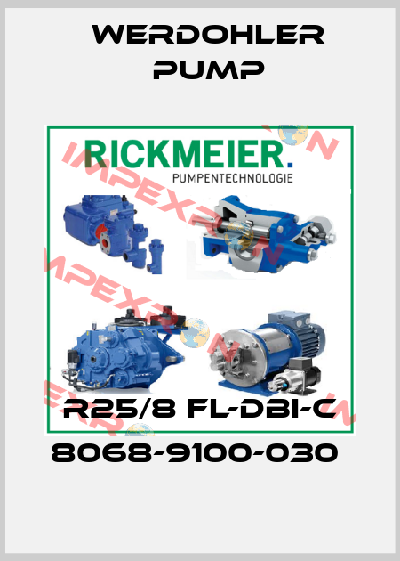 R25/8 FL-DBI-C 8068-9100-030  Werdohler Pump