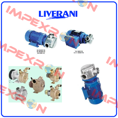 19002031 Liverani