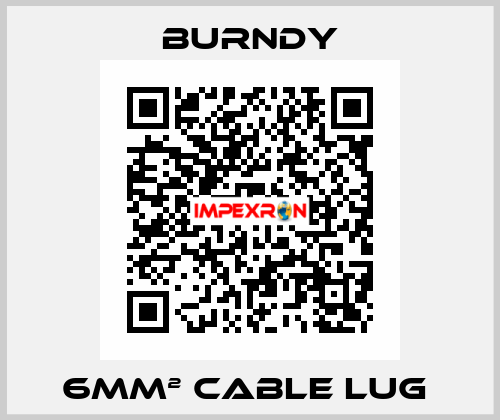 6mm² cable lug  Burndy