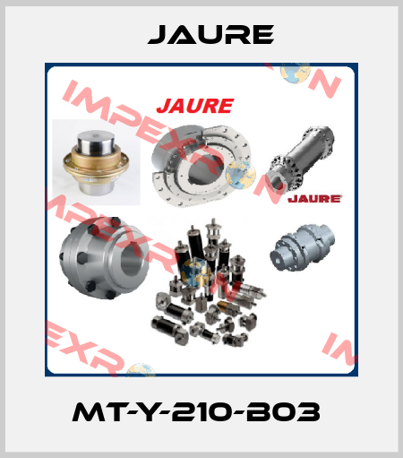 MT-Y-210-B03  Jaure
