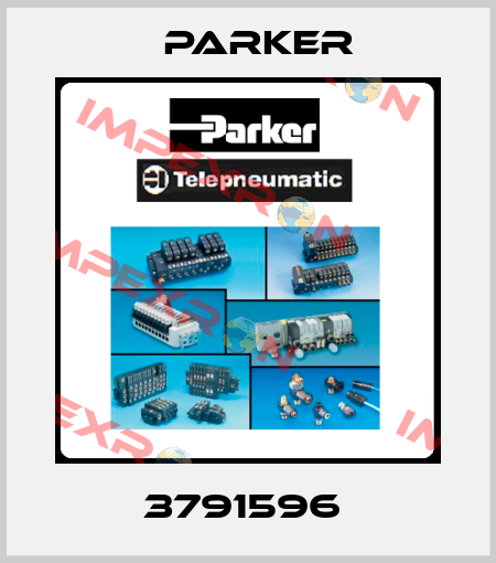 3791596  Parker