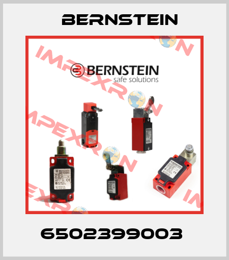6502399003  Bernstein