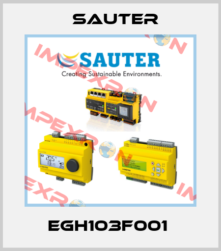 EGH103F001  Sauter