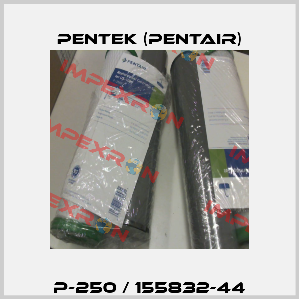 P-250 / 155832-44 Pentek (Pentair)