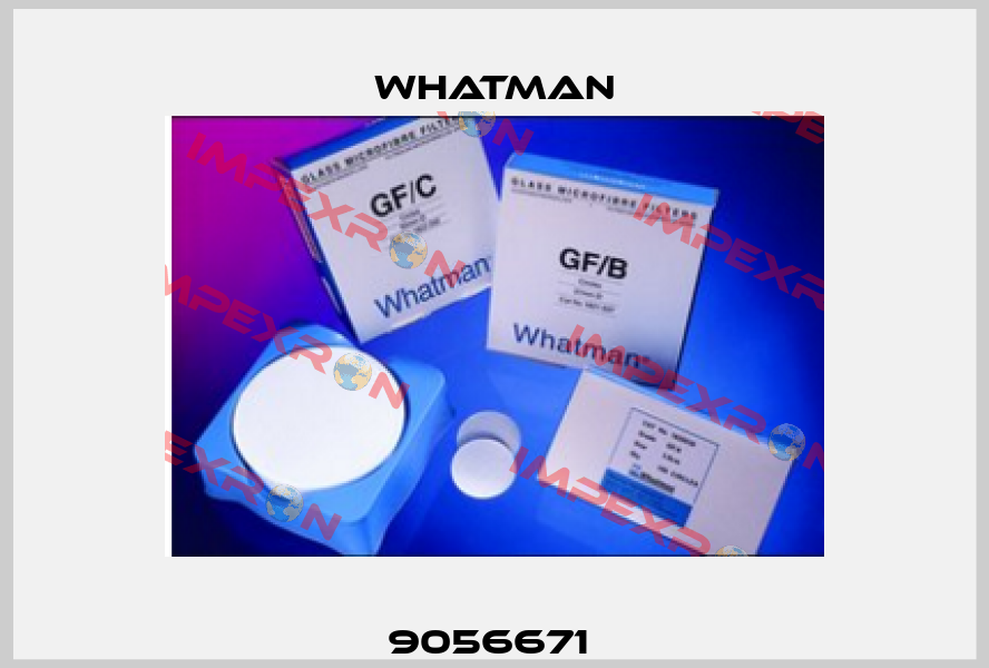 9056671  Whatman