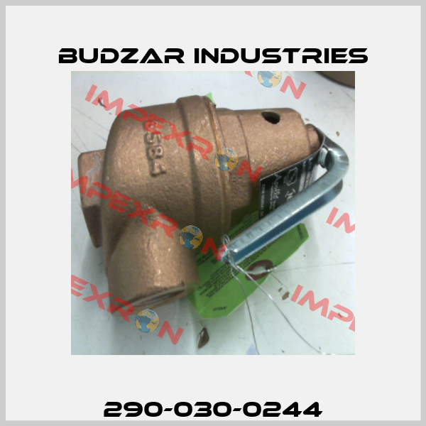 290-030-0244 Budzar industries