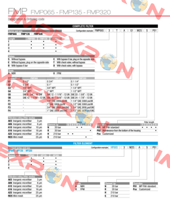 FMP-135-1-B-A-G1-A10-N-P01 MP Filtri